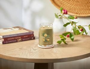 Αρωματικό Κερί Yankee Candle με διάρκεια καύσης έως 80 ώρες και άρωμα Sage & Citrus