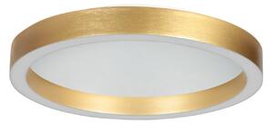 Steinhauer LED φωτιστικό οροφής Ringlux χρυσό χρώμα, Ø 30 cm, μέταλλο, 2.700 K, ρυθμιζόμενος, Χρυσό / Ορείχαλκου, Σαλόνι / τραπεζαρία, Μέταλλο, σύγχρονο