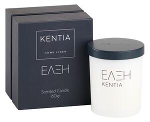 Κερί Αρωματικό 160gr Kentia Mood Έλξη
