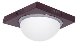 3081F Φ24 TECO COL/ION,NICKEL MAT-CHROME CEILING B3