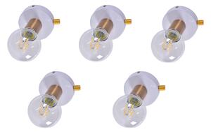 Se 138-wh (X5) Tolo Packet White and Bronze Light+