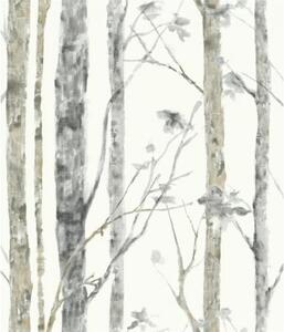 Αυτοκόλλητη Ταπετσαρία Birch Trees Peel KAL.RMK9047