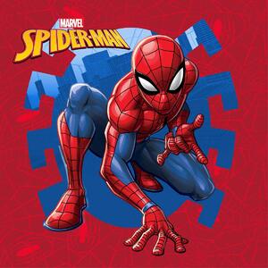 Λαβέτα Ώμου (30x30) Dimcol Spider-Man 71 Red