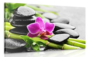 Πίνακας σε καμβά νεκρή φύση Spa με μοβ ορχιδέα