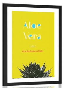 Αφίσα θαυματουργή Aloe Vera