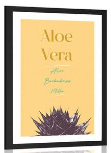 Αφίσα με στυλάτη επιγραφή Aloe Vera