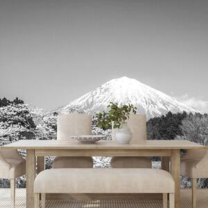 Αυτοκόλλητη φωτοταπετσαρία όρος Fuji σε ασπρόμαυρο