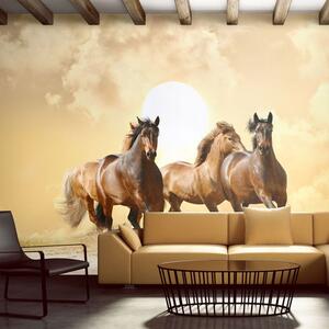 Φωτοταπετσαρία τρέξιμο αλόγων - Running horses
