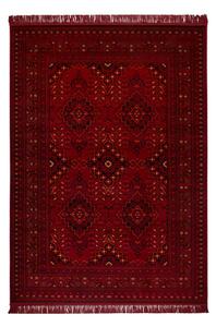 Χαλί (140x200) Βιοκαρπέτ Mauri 02269A Burgundy