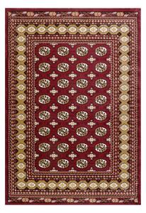 Χαλί (160x230) Polcarpet Focus 9208 Red