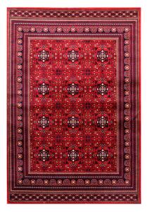 Χαλί (200x250) Tzikas Carpets Dubai 39772-010