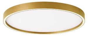 Φωτιστικό Πλαφονιέρα LED Viokef Vanessa Gold 4292801