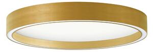 Φωτιστικό Πλαφονιέρα LED Viokef Vanessa Gold 4292701