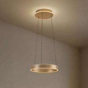 Lucande LED κρεμαστό φωτιστικό Tindra, Ø 40 cm, χρυσό, ρυθμιζόμενο, ρυθμιζόμενος, Χρυσό / Ορείχαλκου, Σαλόνι / τραπεζαρία, Μέταλλο, σύγχρονο
