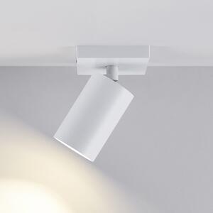 Deko-Light CAN TILT προβολέας οροφής, λευκός, 11 x 9 cm, 1-φωτισμός, μεταλλικό GU10, ρυθμιζόμενος, Λευκό, Σαλόνι / τραπεζαρία, Αλουμίνιο