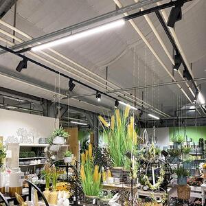 Deko-Light Φωτιστικό LED LINEAR PRO μαύρο 930 60 cm 3 κυκλωμάτων DALI, ρυθμιζόμενος, Μαύρο, Μελέτη / Γραφείο, Αλουμίνιο