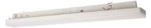 Deko-Light Φωτιστικό LED LINEAR PRO, λευκό, 930, 60 cm 3-φασικό DALI, ρυθμιζόμενος, Λευκό, Μελέτη / Γραφείο, Αλουμίνιο