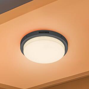 Trio Lighting LED φωτιστικό εξωτερικού χώρου Bermejo, στρογγυλό, αισθητήρας, CCT, ανθρακί, Γκρι, Μέταλλο