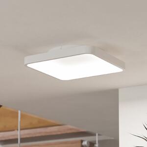 EGLO connect Smart-LED φωτιστικό οροφής Loretello-Z, γωνιακό, λευκό, ρυθμιζόμενος, Λευκό, Σαλόνι / τραπεζαρία, Μέταλλο, σύγχρονο