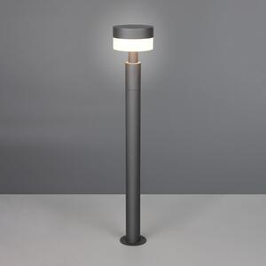 Trio Lighting Φωτιστικό LED Mackenzie, ύψος 95 cm, ανθρακί, χυτοσίδηρο, Γκρι, Αλουμίνιο, σύγχρονο
