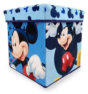 Σκαμπό Με Αποθηκευτικό Χώρο (30X30) Dimcol Mickey 14
