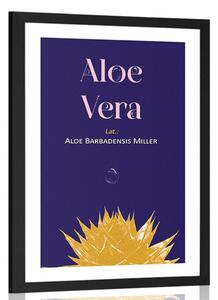 Αφίσα με την επιγραφή Aloe Vera