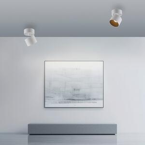 PURE LED σποτ οροφής Cup, λευκό, Ø 9,5 cm, μέταλλο, ρυθμιζόμενος, Λευκό, Σαλόνι / τραπεζαρία, Μέταλλο, σύγχρονο