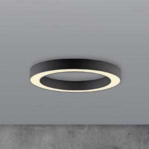 PURE LED φωτιστικό οροφής Lines, Ø 35 cm, γραφίτη, CCT, τηλεχειριστήριο, ρυθμιζόμενος, Μαύρο, Σαλόνι / τραπεζαρία, Μέταλλο, σύγχρονο