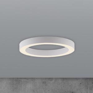 PURE LED φωτιστικό οροφής Lines, Ø 35 cm, λευκό, CCT, ρυθμιζόμενος, Λευκό, Σαλόνι / τραπεζαρία, Μέταλλο, σύγχρονο