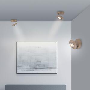 PURE LED φωτιστικό οροφής Oculis χρώματος μπρονζέ, Ø 15 cm σίδερο/γυαλί, ρυθμιζόμενος, Μπρούτζινο / Αντικέ ορείχαλκου, Σαλόνι / τραπεζαρία, Μέταλλο, σύγχρονο