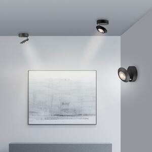 PURE LED φωτιστικό οροφής Oculis, μαύρο, Ø 15 cm, σίδερο/γυαλί, ρυθμιζόμενος, Μαύρο, Σαλόνι / τραπεζαρία, Μέταλλο, σύγχρονο