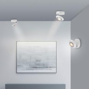 PURE LED φωτιστικό οροφής Oculis, λευκό, Ø 15 cm, σίδερο/γυαλί, ρυθμιζόμενος, Λευκό, Σαλόνι / τραπεζαρία, Μέταλλο, σύγχρονο