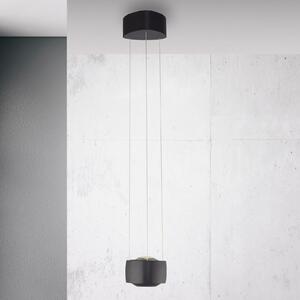 Paul Neuhaus LED κρεμαστό φωτιστικό Q-Stretto, μαύρο, Ø 14,5cm, ρυθμιζόμενος, Μαύρο, Σαλόνι / τραπεζαρία, Μέταλλο, σύγχρονο