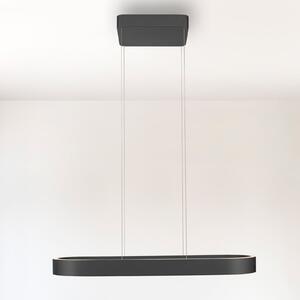 Paul Neuhaus LED κρεμαστό φωτιστικό Q-Stretto, μαύρο, 86,8cm, ρυθμιζόμενος, Μαύρο, Σαλόνι / τραπεζαρία, Μέταλλο, σύγχρονο