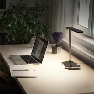 OSRAM LED επιτραπέζια λάμπα Office Line Desk Banker μαύρη CCT DIM, ρυθμιζόμενος, Μαύρο, Μελέτη / Γραφείο, Αλουμίνιο