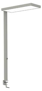 Maul Λάμπα LED MAULjura, ασημί, ρυθμιζόμενη ένταση φωτισμού, 100 cm, ρυθμιζόμενος, Μεταλλικό, Μελέτη / Γραφείο, Αλουμίνιο, σύγχρονο