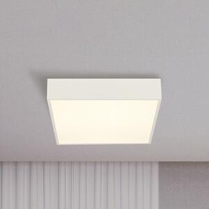 Searchlight LED φωτιστικό οροφής μπάνιου Zeus, λευκό, μήκος 30 cm, μέταλλο, Λευκό, Μπάνιο, Αλουμίνιο, σύγχρονο