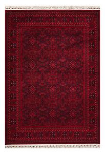 Χαλί (160x230) Pierre Cardin Vienna HY10 Bordo