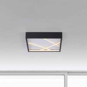 JUST LIGHT. GmbH Φωτιστικό οροφής LED Mikado, 30 x cm, μαύρο, ρυθμιζόμενος, Μαύρο, Σαλόνι / τραπεζαρία, Μέταλλο, σύγχρονο
