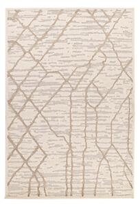 Χαλί (200x290) Royal Carpet Chiara 40001 I