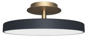 UMAGE LED-Deckenlampe Asteria UP PLUS, ανθρακί Ø 31 cm CCT, ρυθμιζόμενος, Μαύρο, Σαλόνι / τραπεζαρία, Μέταλλο, σχεδιασμός