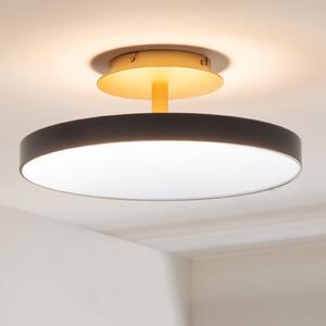 UMAGE LED οροφής Asteria UP PLUS, ανθρακί Ø 43 cm CCT, ρυθμιζόμενος, Μαύρο, Σαλόνι / τραπεζαρία, Μέταλλο, σχεδιασμός