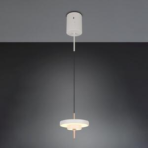 Trio Lighting Κρεμαστή λάμπα LED Keaton, ανοιχτό γκρι, Ø 20 cm, μέταλλο, CCT, ρυθμιζόμενος, Γκρι, Σαλόνι / τραπεζαρία, Μέταλλο