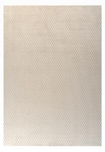 Χαλί Γούνινο (120x170) Tzikas Carpets Nexus 26166-001