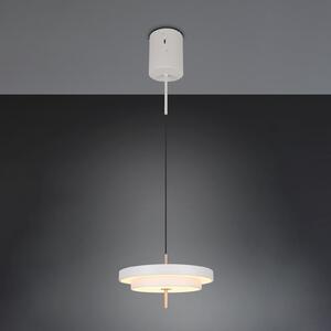 Trio Lighting Κρεμαστή λάμπα LED Keaton, ανοιχτό γκρι, Ø 40 cm, μέταλλο, CCT, ρυθμιζόμενος, Γκρι, Σαλόνι / τραπεζαρία, Μέταλλο