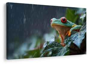 Πίνακας σε καμβά βάτραχος στη βροχή σε φύλλο