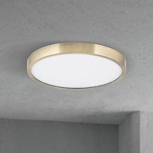 ORION LED οροφής Disc, χρώμα ορείχαλκου αντίκα, Ø 24 cm, CCT, ρυθμιζόμενος, Μπρούτζινο / Αντικέ ορείχαλκου, Σαλόνι / τραπεζαρία, Αλουμίνιο, σύγχρονο