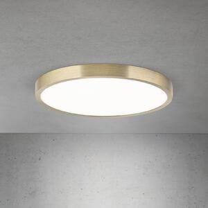 ORION LED οροφής Disc, χρώμα ορείχαλκου αντίκα, Ø 28 cm, CCT, ρυθμιζόμενος, Μπρούτζινο / Αντικέ ορείχαλκου, Σαλόνι / τραπεζαρία, Αλουμίνιο, σύγχρονο