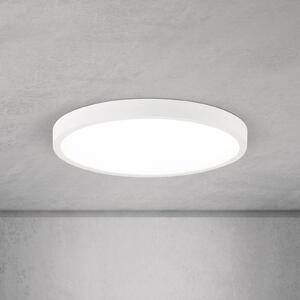 ORION LED φωτιστικό οροφής Disc, λευκό Ø 28 cm, CCT, μέταλλο/πλαστικό, ρυθμιζόμενος, Λευκό, Σαλόνι / τραπεζαρία, Αλουμίνιο, σύγχρονο
