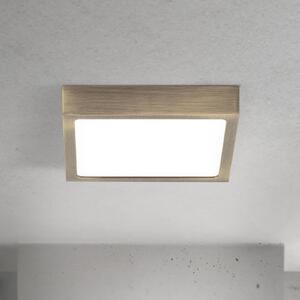 ORION LED οροφής Disc, χρώμα ορείχαλκου αντίκα, μήκος 14 cm, CCT, ρυθμιζόμενος, Μπρούτζινο / Αντικέ ορείχαλκου, Σαλόνι / τραπεζαρία, Αλουμίνιο, σύγχρονο